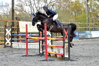 Jodi Randall scoops top spot in the Nupafeed Supplements Senior Discovery Second Round at Petley Wood Equestrian Centre